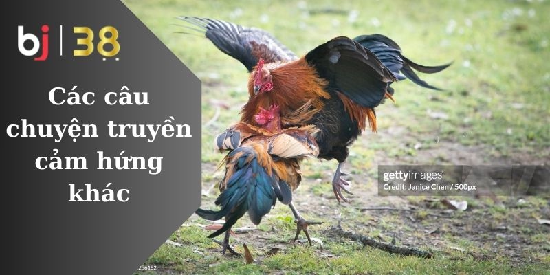 Các câu chuyện truyền cảm hứng khác Các câu chuyện truyền cảm hứng khác