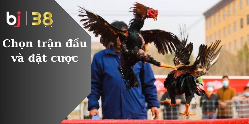 Chọn trận đấu và đặt cược Chọn trận đấu và đặt cược