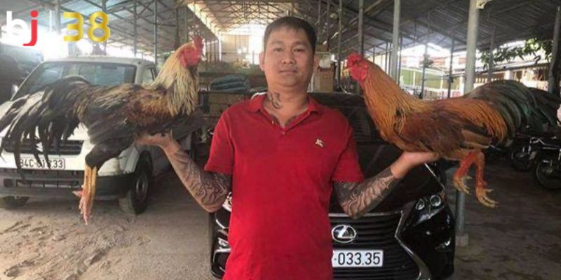 BJ38: Địa điểm lý tưởng cho các kê thủ đẳng cấp BJ38: Địa điểm lý tưởng cho các kê thủ đẳng cấp