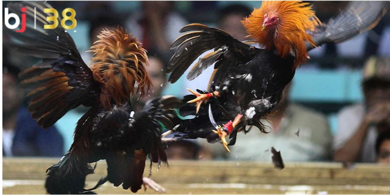 Khuyến khích tinh thần thể thao lành mạnh Khuyến khích tinh thần thể thao lành mạnh