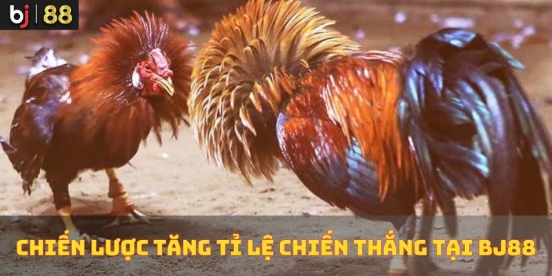 Chiến Lược Tăng Tỉ Lệ Chiến Thắng Tại BJ88 Chiến Lược Tăng Tỉ Lệ Chiến Thắng Tại BJ88