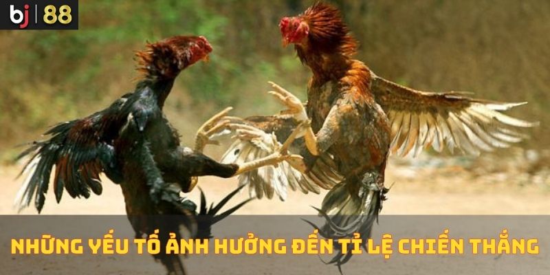 Những Yếu Tố Ảnh Hưởng Đến Tỉ Lệ Chiến Thắng Những Yếu Tố Ảnh Hưởng Đến Tỉ Lệ Chiến Thắng