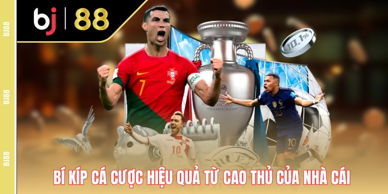 Bí kíp cá cược hiệu quả từ cao thủ của nhà cái Bí kíp cá cược hiệu quả từ cao thủ của nhà cái